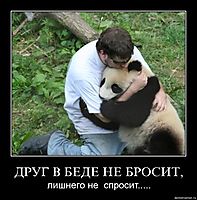 ДРУГ В БЕДЕ НЕ БРОСИТ, лишнего не  спросит.....