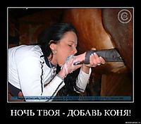 НОЧЬ ТВОЯ - ДОБАВЬ КОНЯ! 