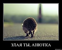 ЗЛАЯ ТЫ, АНЮТКА 