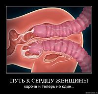 ПУТЬ К СЕРДЦУ ЖЕНЩИНЫ короче и теперь не один...
