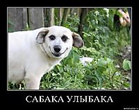 САБАКА УЛЫБАКА 