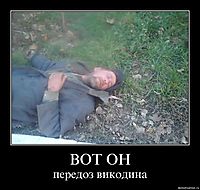ВОТ ОН передоз викодина