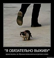 "Я ОБЯЗАТЕЛЬНО ВЫЖИВУ" думал мужик, не обращая внимания на встречных кошек