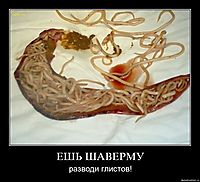 ЕШЬ ШАВЕРМУ разводи глистов!