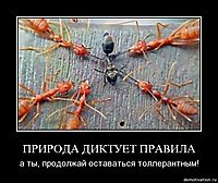ПРИРОДА ДИКТУЕТ ПРАВИЛА а ты, продолжай оставаться толлерантным!
