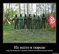 Их место в тюрьме ведь они нам мешают торговать героином и насиловать русских женщин