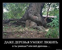 ДАЖЕ ДЕРЕВЬЯ УМЕЮТ ЛЮБИТЬ а ты умеешь? или всё дрочишь ...