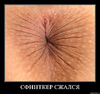 СФИНТКЕР СЖАЛСЯ 