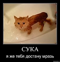 СУКА я же тебя достану мразь