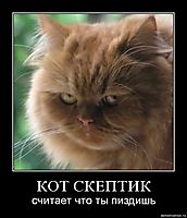 КОТ СКЕПТИК считает что ты пиздишь