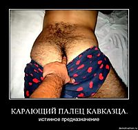 КАРАЮЩИЙ ПАЛЕЦ КАВКАЗЦА. истинное предназначение