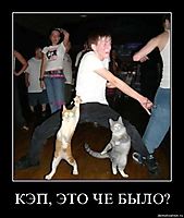 КЭП, ЭТО ЧЕ БЫЛО? 