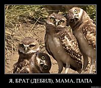 Я, БРАТ (ДЕБИЛ), МАМА, ПАПА 