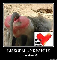 ВЫБОРЫ В УКРАИНЕ первый нах!