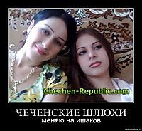 ЧЕЧЕНСКИЕ ШЛЮХИ меняю на ишаков