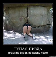 ТУПАЯ ПИЗДА нихуя не знает, но всюду лезет