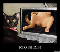 КТО ЗДЕСЬ? 