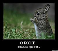 О БОЖЕ... сколько травки...