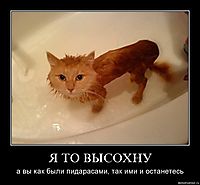 Я ТО ВЫСОХНУ а вы как были пидарасами, так ими и останетесь