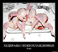 ХЕДКРАБЫ СВЕЖЕОХЛАЖДЕННЫЕ 4 шт.