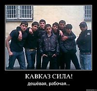 КАВКАЗ СИЛА! дешёвая, рабочая...