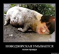 НОВОДВОРСКАЯ УМЫВАЕТСЯ голая правда
