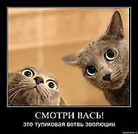 СМОТРИ ВАСЬ! это тупиковая ветвь эволюции
