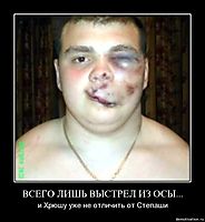 ВСЕГО ЛИШЬ ВЫСТРЕЛ ИЗ ОСЫ... и Хрюшу уже не отличить от Степаши