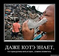 ДАЖЕ КОТЭ ЗНАЕТ, что чурки должны жить в горах , славяне опомнитесь.