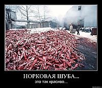 НОРКОВАЯ ШУБА... это так красиво...