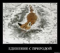ЕДИНЕНИЕ С ПРИРОДОЙ 