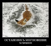 ОСТАНОВИСЬ МНГНОВЕНИЕ ты прекрасно