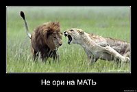 Не ори на МАТЬ 