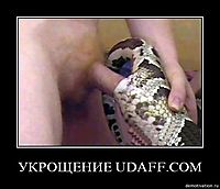УКРОЩЕНИЕ UDAFF.COM 