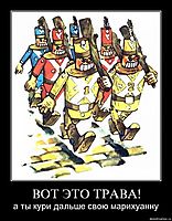 ВОТ ЭТО ТРАВА! а ты кури дальше свою марихуанну