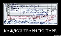 КАЖДОЙ ТВАРИ ПО ПАРЕ! 