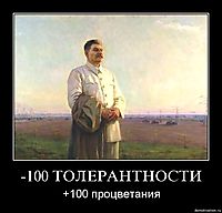 -100 ТОЛЕРАНТНОСТИ +100 процветания