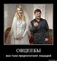 ОВЦЕЕБЫ все-таки предпочитают лошадей