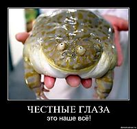 ЧЕСТНЫЕ ГЛАЗА это наше всё!
