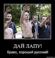 ДАЙ ЛАПУ! браво, хороший русский!