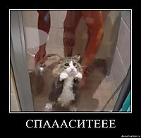 СПАААСИТЕЕЕ 