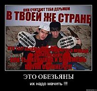ЭТО ОБЕЗЬЯНЫ их надо мачить !!!