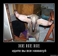 НЕ НЕ НЕ идите вы все наааахуй