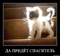 ДА ПРИДЁТ СПАСИТЕЛЬ 