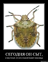 СЕГОДНЯ ОН СЫТ, и ему похуй, что его страной правят мерзавцы