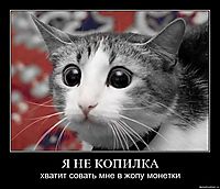 Я НЕ КОПИЛКА хватит совать мне в жопу монетки