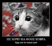 НЕ ХОЧУ НА ФОНЕ КОВРА буду как те тупые суки