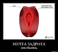 МЕЧТА ЗАДРОТА она сбылась