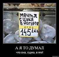 А Я ТО ДУМАЛ что она, сцука, в яге!