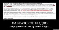 КАВКАЗСКОЕ БЫДЛО защищено властью, путиным и едро.